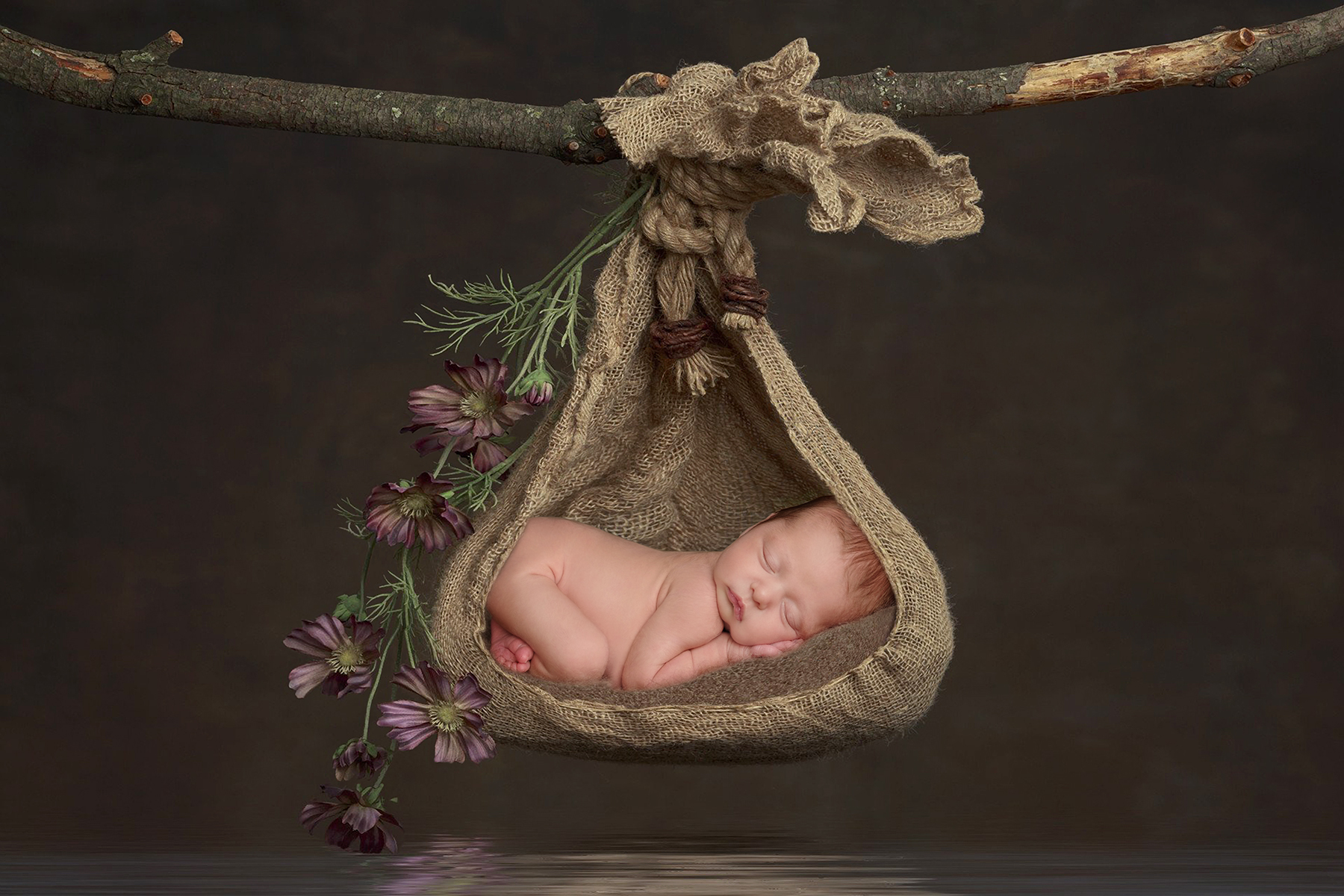 Newborn Photography