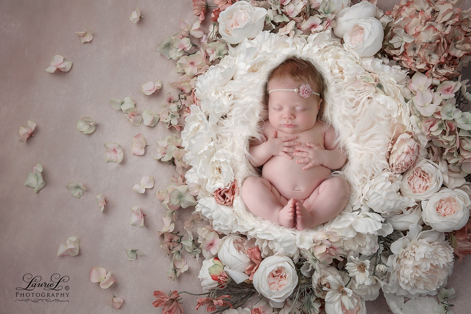 Newborn Pictures