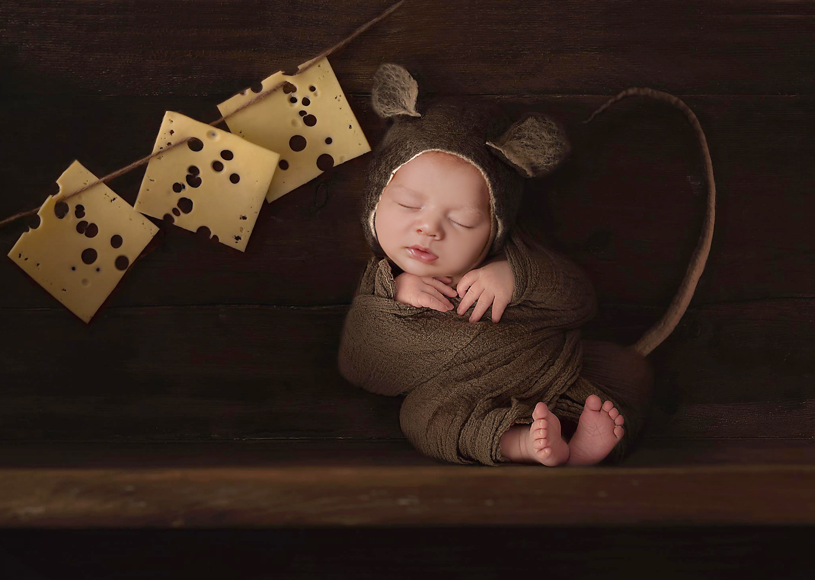 Fine Art Newborn Photography