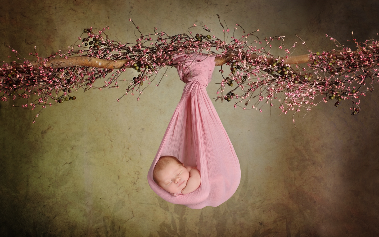 Newborn Photography