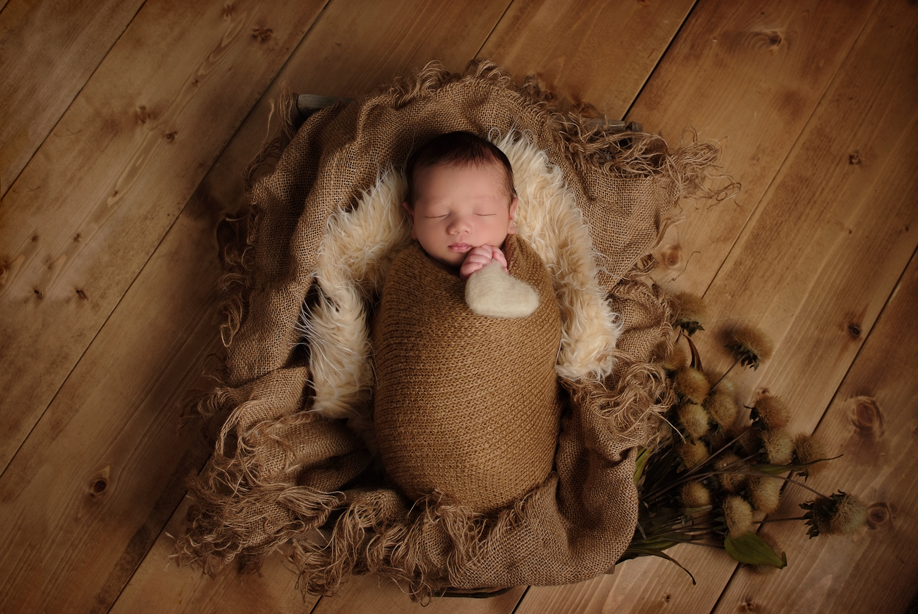 Newborn Photography