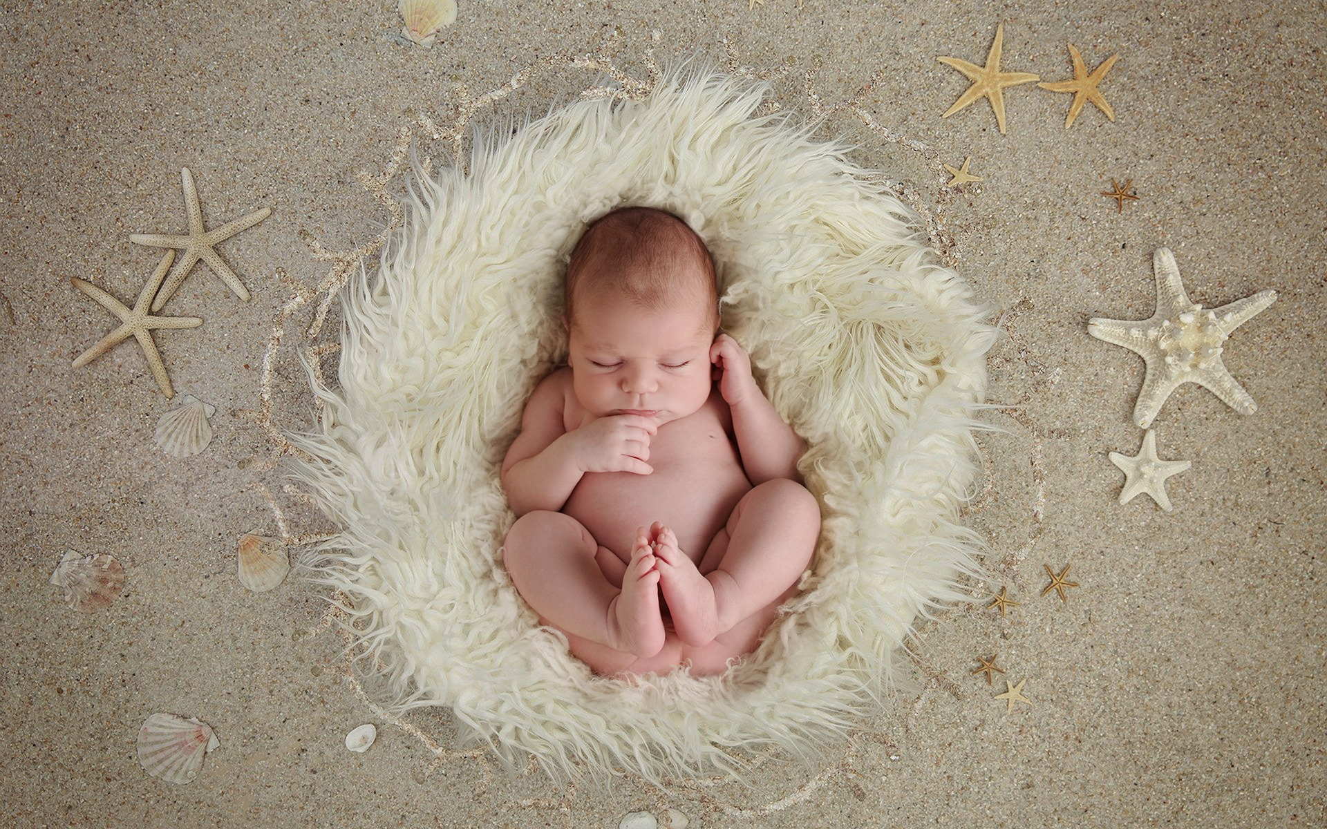 Newborn Photos