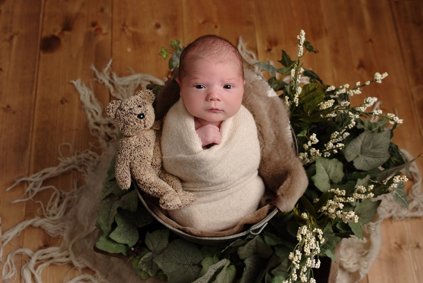 Best Newborn Photographer