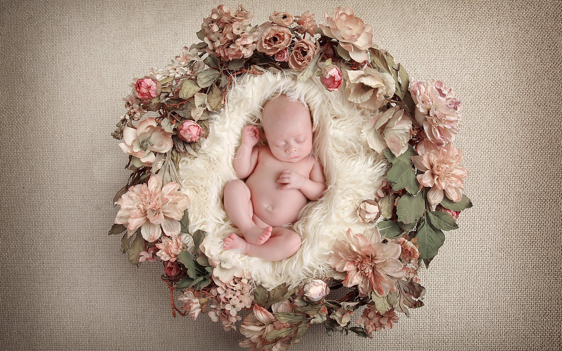 Best Newborn Photographer