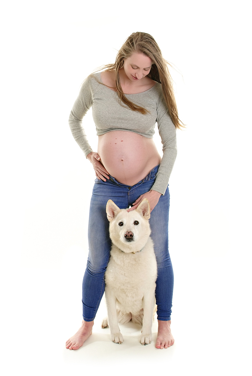 Maternity Photo with Dog