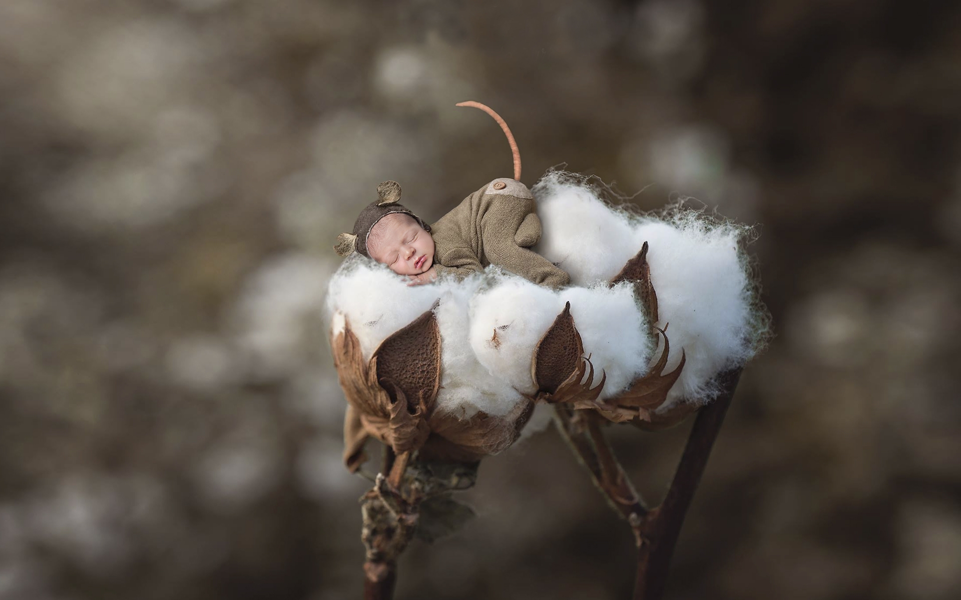 Newborn Pictures