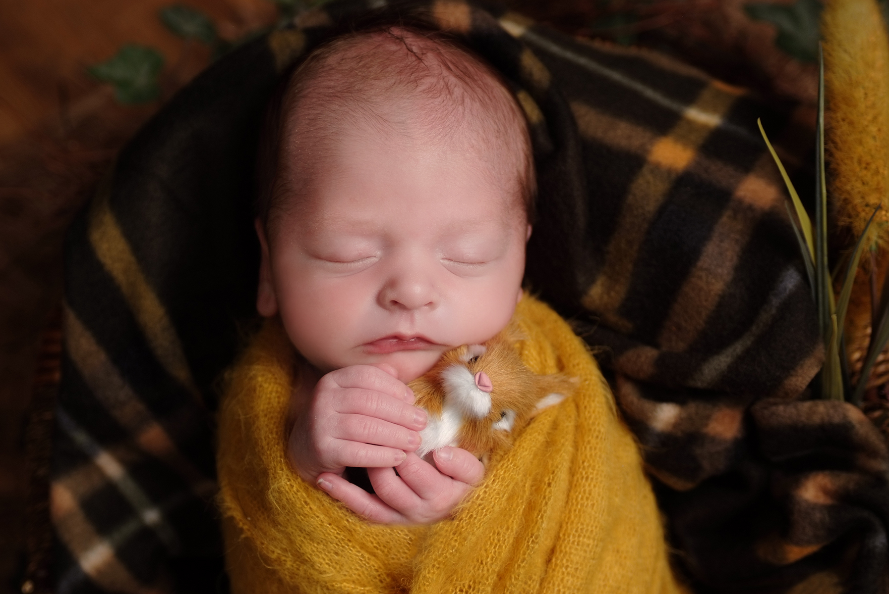 Best Newborn Photographer