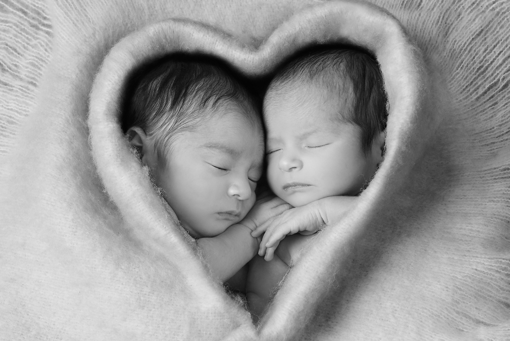 Newborn Twins Photos